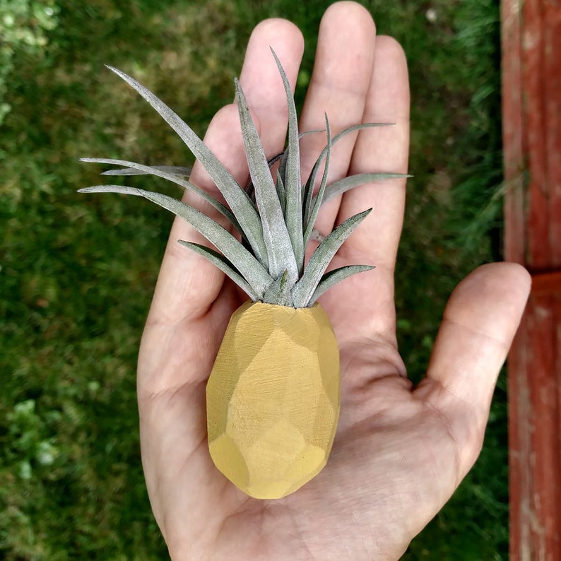 Pineapple Air Plant Holder Pineapple Airplant Geometric Air Etsy