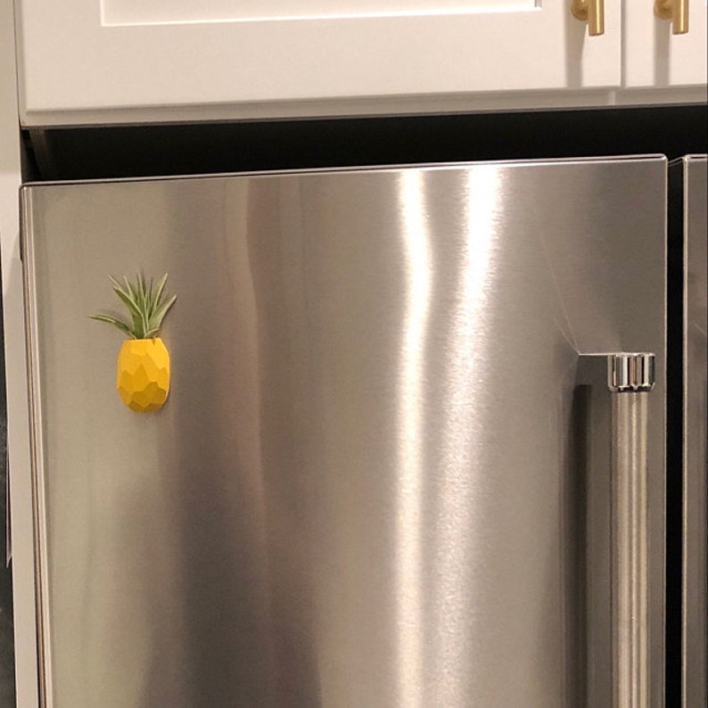 Pineapple Air Plant Holder Pineapple Airplant Geometric Air Etsy