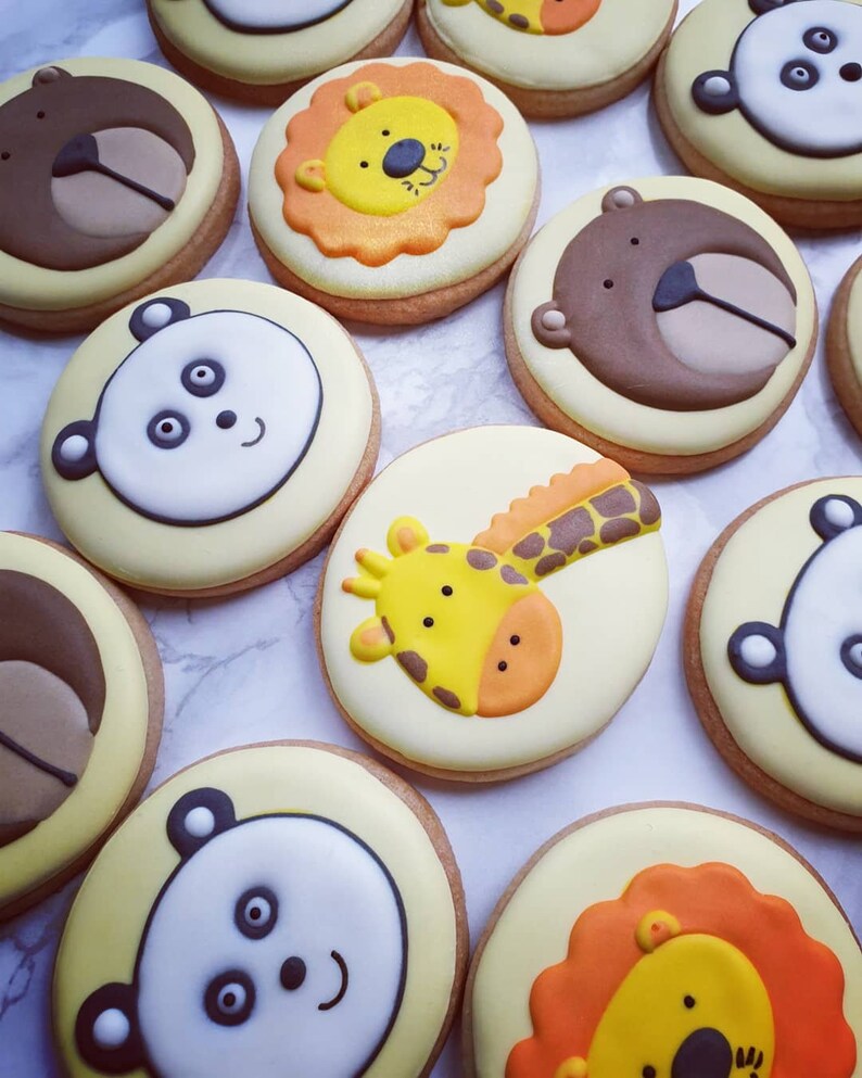 Animal Party Biscuits Birthday Biscuits set of 4 Etsy