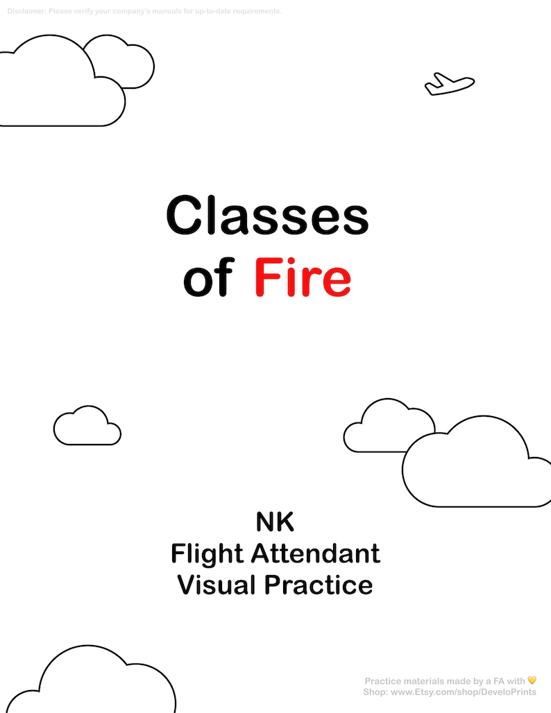 Classes of Fire NK Spirit Airlines Flight Attendant Etsy