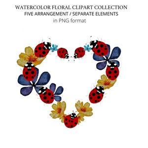 Clipart acquerello coccinella, formato PNG, vibrazioni estive, Download istantaneo