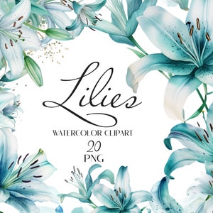 Clipart de lírios em aquarela, design de casamento, lírios PNG, flores em aquarela, download instantâneo