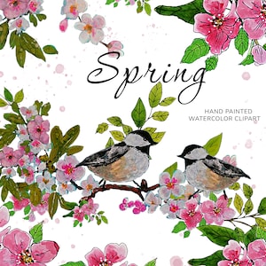Spring clipart, Birds, leaves, branches, PNG transparent background