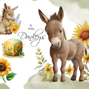 Donkeys Clipart,  Cute clipart, Farm Planner Stickers, Sublimation Graphics, Nursery design, PNG