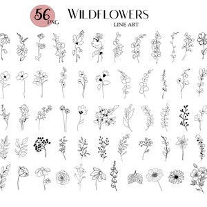 Set of 56 Wildflowers, Wildflowers clipart, Line art, Flowers clipart, PNG