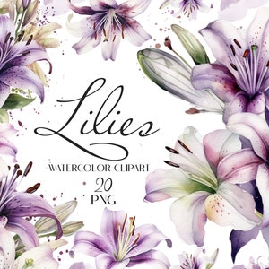 Clipart de lírios em aquarela, lírios pirple, design de casamento, lírios PNG, flores em aquarela, download instantâneo