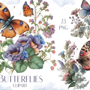 Clipart de borboletas, clipart floral aquarela, primavera, verão, borboletas, download instantâneo, PNG