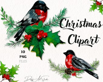 May include: Watercolor Christmas clipart featuring two birds with red breasts and black wings perched on holly and pine branches. The image includes the text "Christmas Clipart" and "10 PNG FILES".