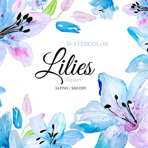 Clipart de lírios aquarela, clipart de flor de lilium, clipart de flor, PNG