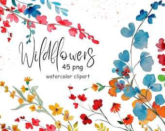 Wildblumen 45 PNG Aquarell Blumen Clipart Wildblumen Hochzeit Clipart Frühling Sommer Herbst