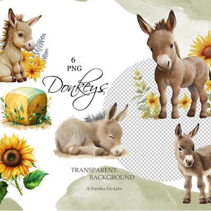 May include: Six digital illustrations of cute brown donkeys with transparent backgrounds. The donkeys are in various poses, including standing, sitting, and sleeping. The illustrations are surrounded by sunflowers and greenery.