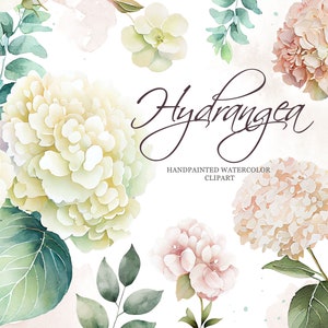 Clipart de hortênsia cremosa aquarela, clipart de flores png, casamento, jardim floral, download digital