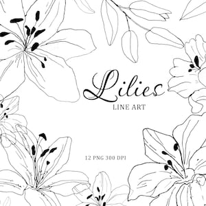 Arte de linha desenhada à mão com lírios, clipart de lírios, arte de linha com flores, arte de linha de casamento, fundo transparente PNG