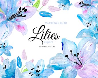 Watercolor Lilies Clipart, Lilium Flower Clipart, Flowers Clipart, PNG