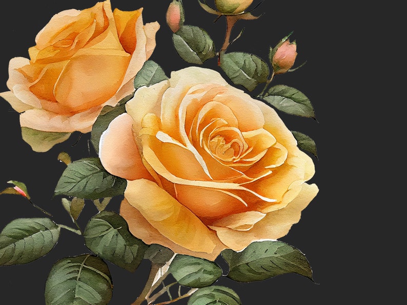 Yellow Roses Multipetals Watercolor Yellow Roses Clipart, Roses Clipart, Wedding, Invitations ...