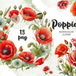 Aquarelle coquelicots Clipart, aquarelle fleurs clipart, coquelicots, téléchargement immédiat, PNG