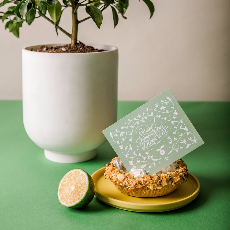 Op de afbeelding: Een witte keramische plantenpot met een kleine boom, een taartje op een gele bord, een halve limoen en een kaart met de tekst "Grow Something Different" op een groene achtergrond. De taart heeft een notencr&egrave;mebodem en slagroom.