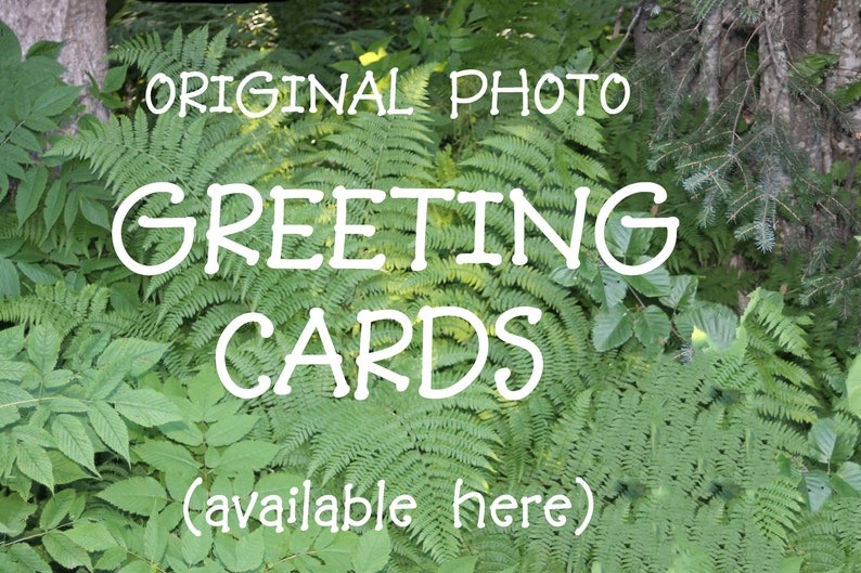 No. 237.. seward Alaska Harbor Beach Stores Etsy