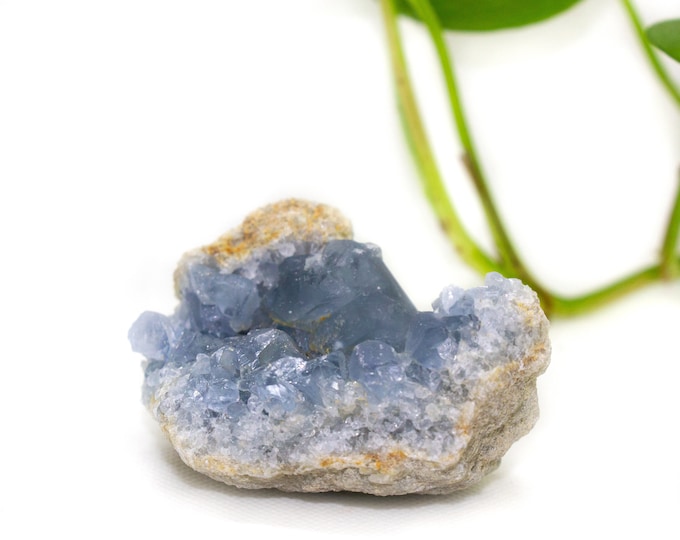 Blue Celestite Crystal