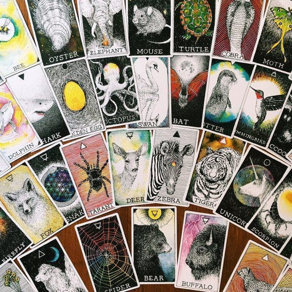 The Wild Unknown Pocket Animal Spirit Deck The Wild Unknown Pocket Animal Spirit Deck