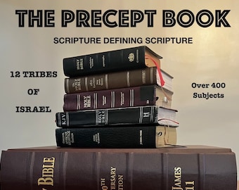 THE PRECEPT BOOK