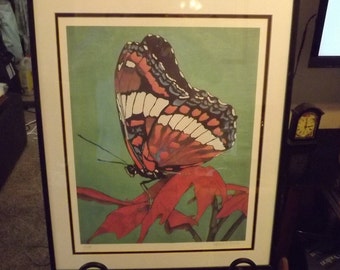 Colorful Vintage Print Butterfly Signed and Numbered #20/500