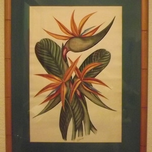 Vintage Original Watercolor Untitled &quot;Birds of Paradise&quot; Signed