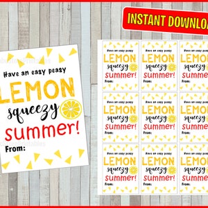 Printable Teacher Appreciation Week gift tag, Easy Peasy Lemon Squeezy Summer Lemonade Hanging Tag, INSTANT DOWNLOAD