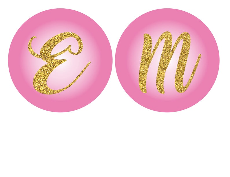 Personalized Pinkalicious Birthday Wall Banner Digital File ONLY