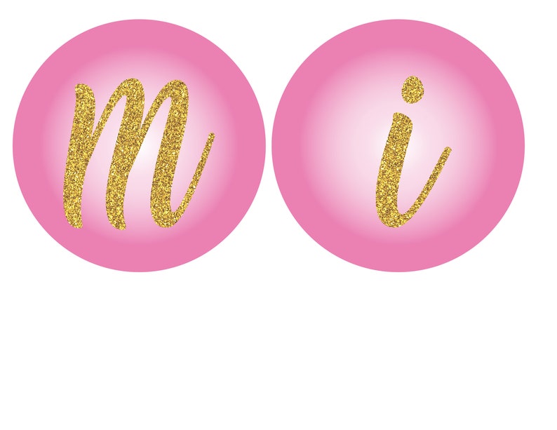 Personalized Pinkalicious Birthday Wall Banner Digital File ONLY