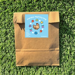 May include: A brown paper bag with a blue square sticker that reads "Stardew Mystery Bag". The sticker features pixelated images of a chicken, mushrooms, and other game-related icons. The bag is on a green grassy surface.