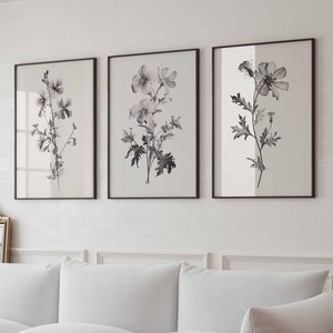 Minimalist Botanical Art Black and White Flower Wall Art Set of 3 Vintage Botanical Printable Art Minimal Floral Wall Art Digital Download
