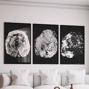 May include: Three black framed prints of white tree rings on a black background, hanging above a white couch with three pillows. The couch is in front of a white wall with a window to the right.