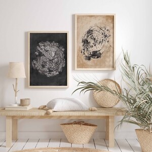 May include: Two framed black and white prints of tree rings on a white wall above a wooden bench with a white pillow, a woven basket, and a potted plant.