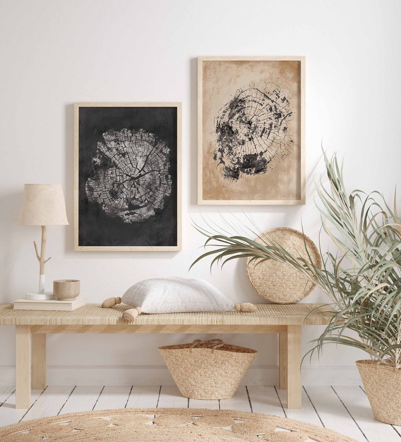 May include: Two framed black and white prints of tree rings on a white wall above a wooden bench with a white pillow, a woven basket, and a potted plant.