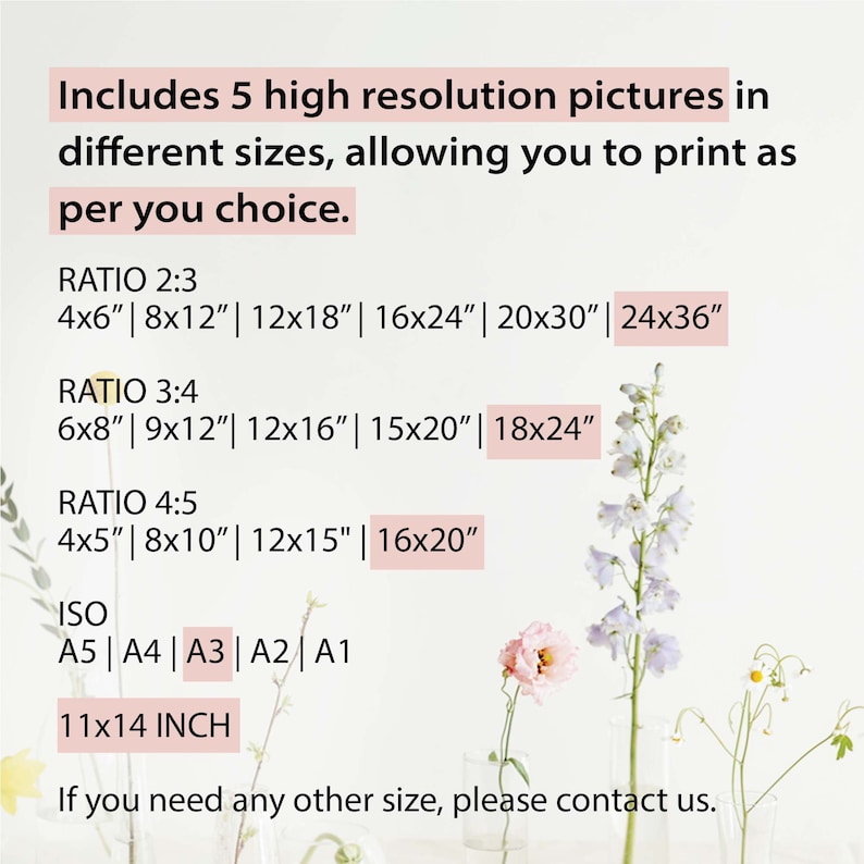 May include: A white background with black text listing different sizes of high-resolution pictures available for purchase. The text includes ratios of 2:3, 3:4, and 4:5, with corresponding sizes in inches.  The text also includes ISO sizes A5, A4, A3, A2, and A1, as well as a size of 11x14 inches. The text ends with "If you need any other size, please contact us."