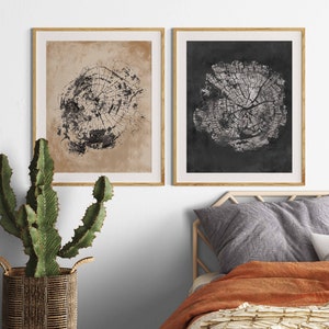 May include: Two framed prints of tree rings, one with a black background and one with a beige background. The prints are in a modern style and would look great in a living room or bedroom.