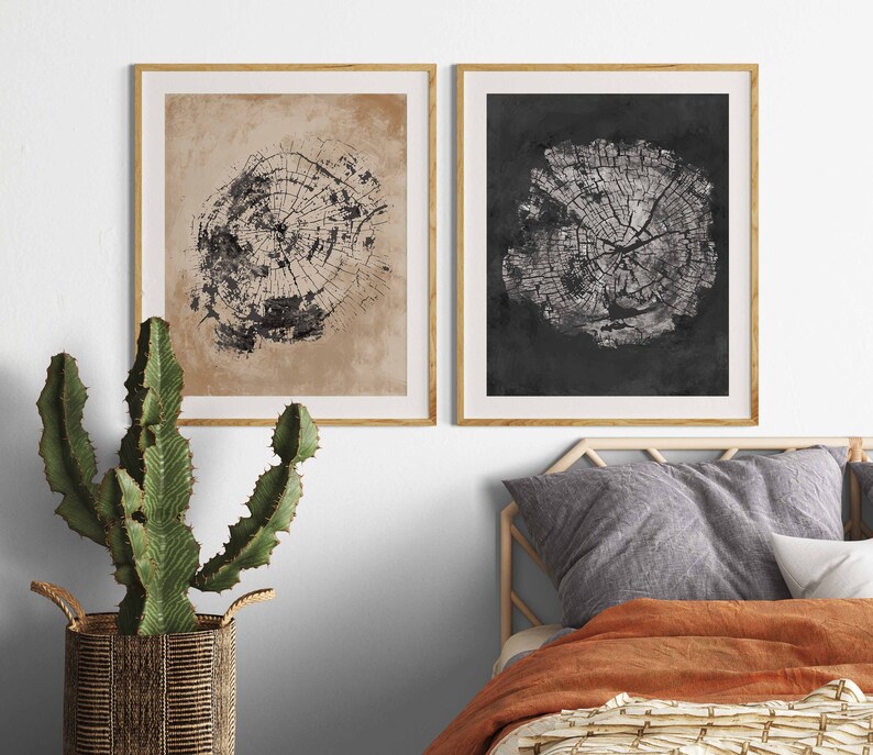 May include: Two framed prints of tree rings, one with a black background and one with a beige background. The prints are in a modern style and would look great in a living room or bedroom.