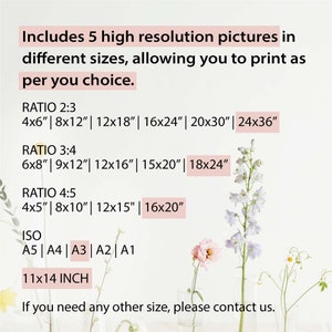 May include: A white background with black text listing different sizes of high-resolution pictures available for purchase. The text includes ratios of 2:3, 3:4, and 4:5, with corresponding sizes in inches.  The text also includes ISO sizes A5, A4, A3, A2, and A1, as well as a size of 11x14 inches. The text ends with "If you need any other size, please contact us."