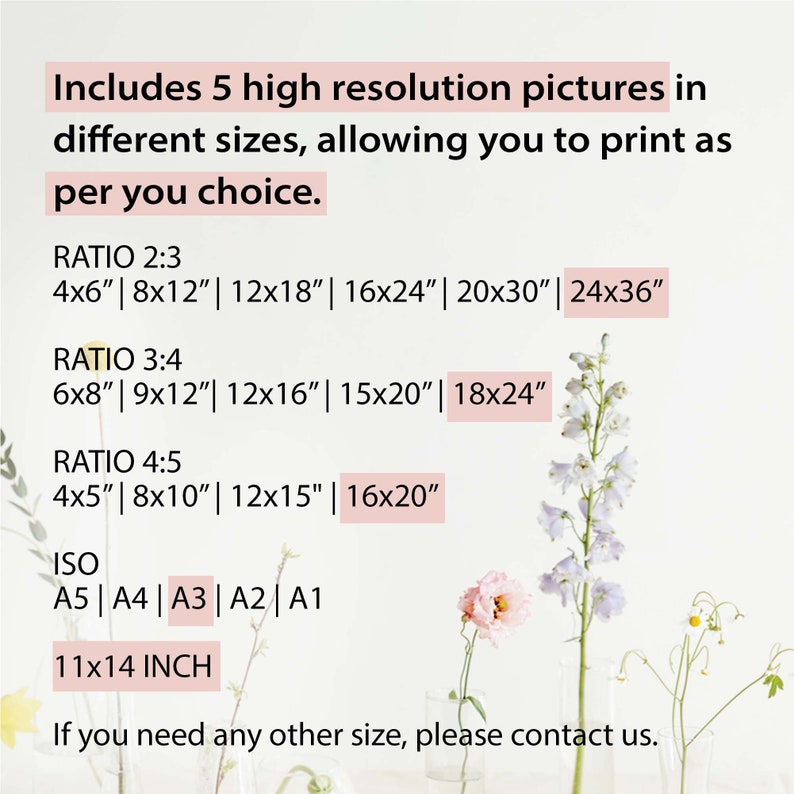 May include: A white background with black text listing different sizes of high-resolution pictures available for purchase. The text includes ratios of 2:3, 3:4, and 4:5, with corresponding sizes in inches.  The text also includes ISO sizes A5, A4, A3, A2, and A1, as well as a size of 11x14 inches. The text ends with "If you need any other size, please contact us."