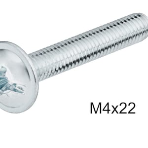 May include: A silver-toned, flat-head screw with a star-shaped drive. The screw is 22 mm long and has a diameter of 4 mm. The screw is labelled "M4x22".