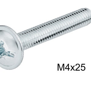 May include: A silver-toned, flat-head screw with a star-shaped drive. The screw is 25 mm long and has a diameter of 4 mm. The screw is labelled "M4x25".