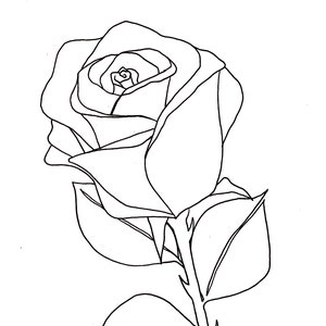 May include: A black and white line drawing of a single rose with leaves and a stem.