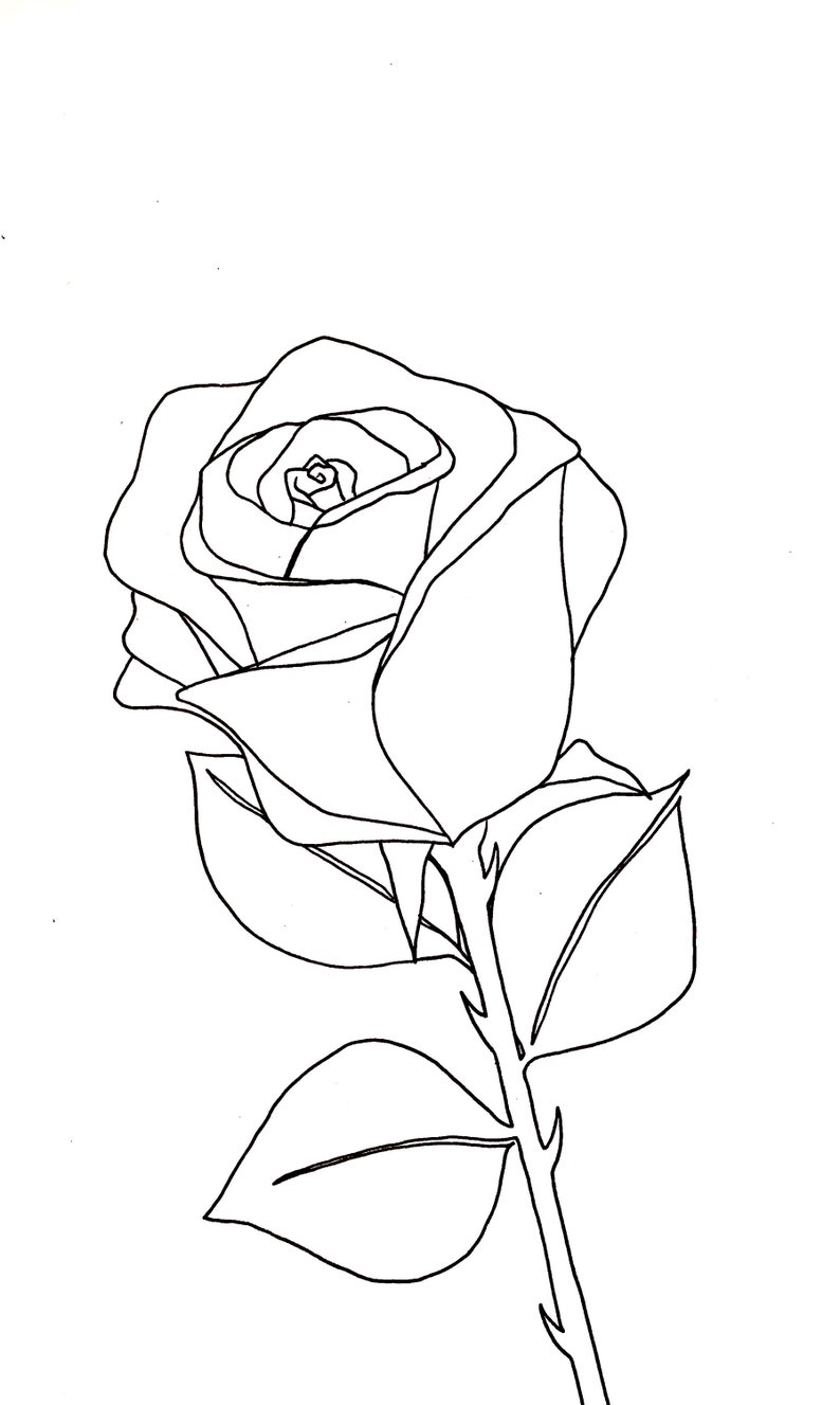 May include: A black and white line drawing of a single rose with leaves and a stem.