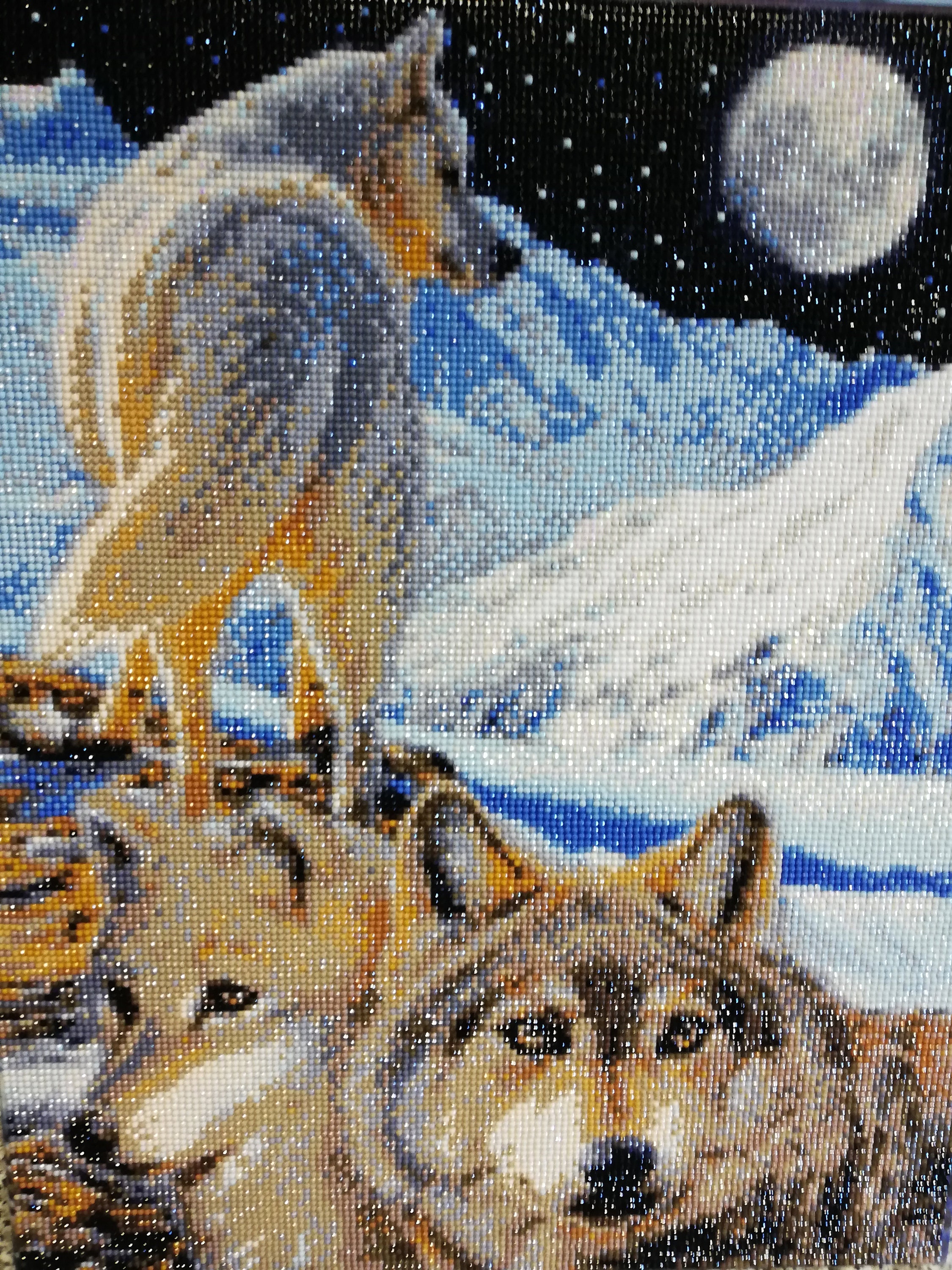Wolves Canvas Picture - Etsy