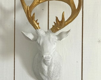 Deer antlers - Wall decoration - Antlers with wall brackets
