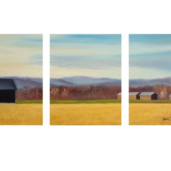 A View of Tobacco Barns in Hatfield, Massachusetts - Set of 3 Fine Art Prints