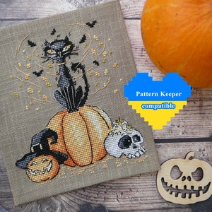 Magic Halloween cross stitch pattern pdf Whimsical black cat embroidery Funky pumpkin tapestry Crazy scull needlepoint digital download