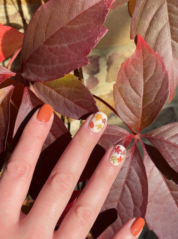 Autumn Nails Dried Flowers and Fruits Stickers