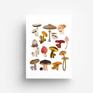 Mushrooms Print DIN A4